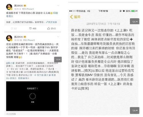娱乐圈吃瓜的文件,幕后真相与明星隐私曝光